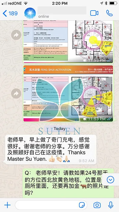 WhatsApp message from a client sharing their result